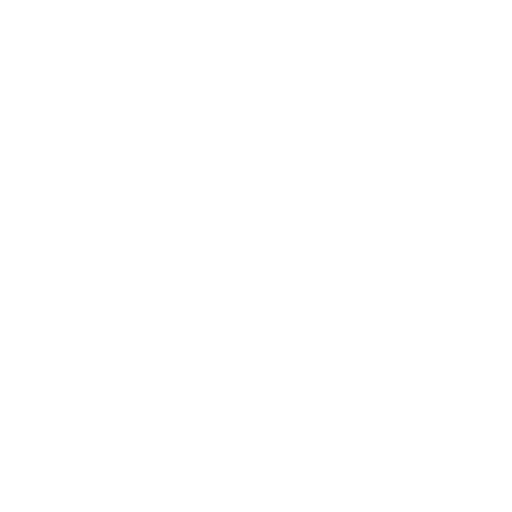 Antikhandel Ralph Geisler Rochhausmühle